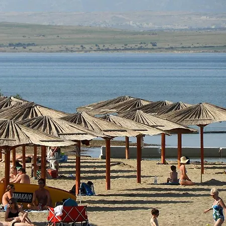 16428a * Nin